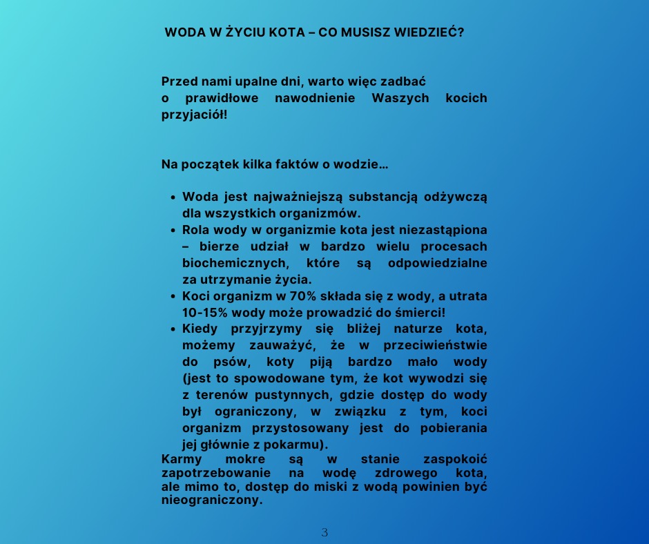 WODA W ŻYCIU KOTA – CO MUSISZ WIEDZIEĆ?