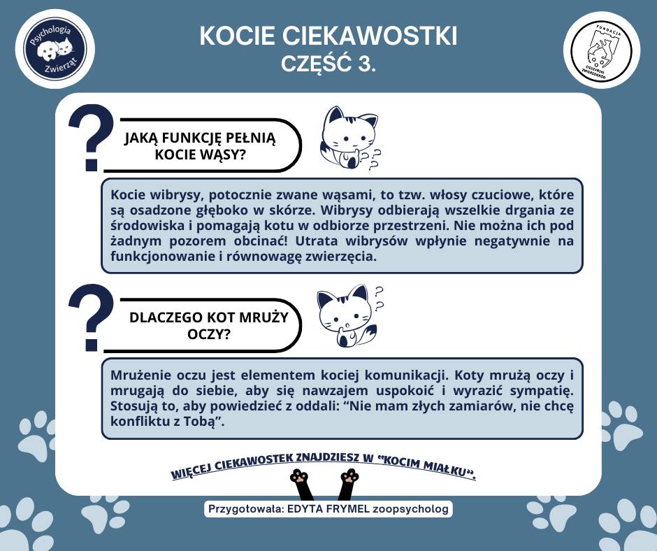 KOCIE CIEKAWOSTKI