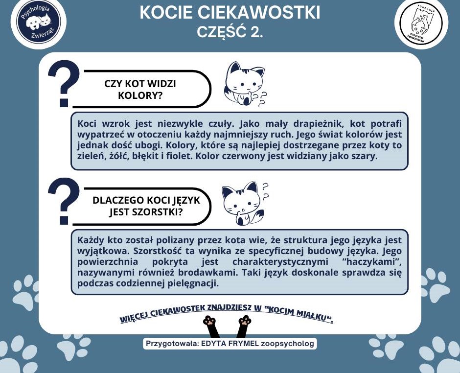 KOCIE CIEKAWOSTKI  kolejna część.