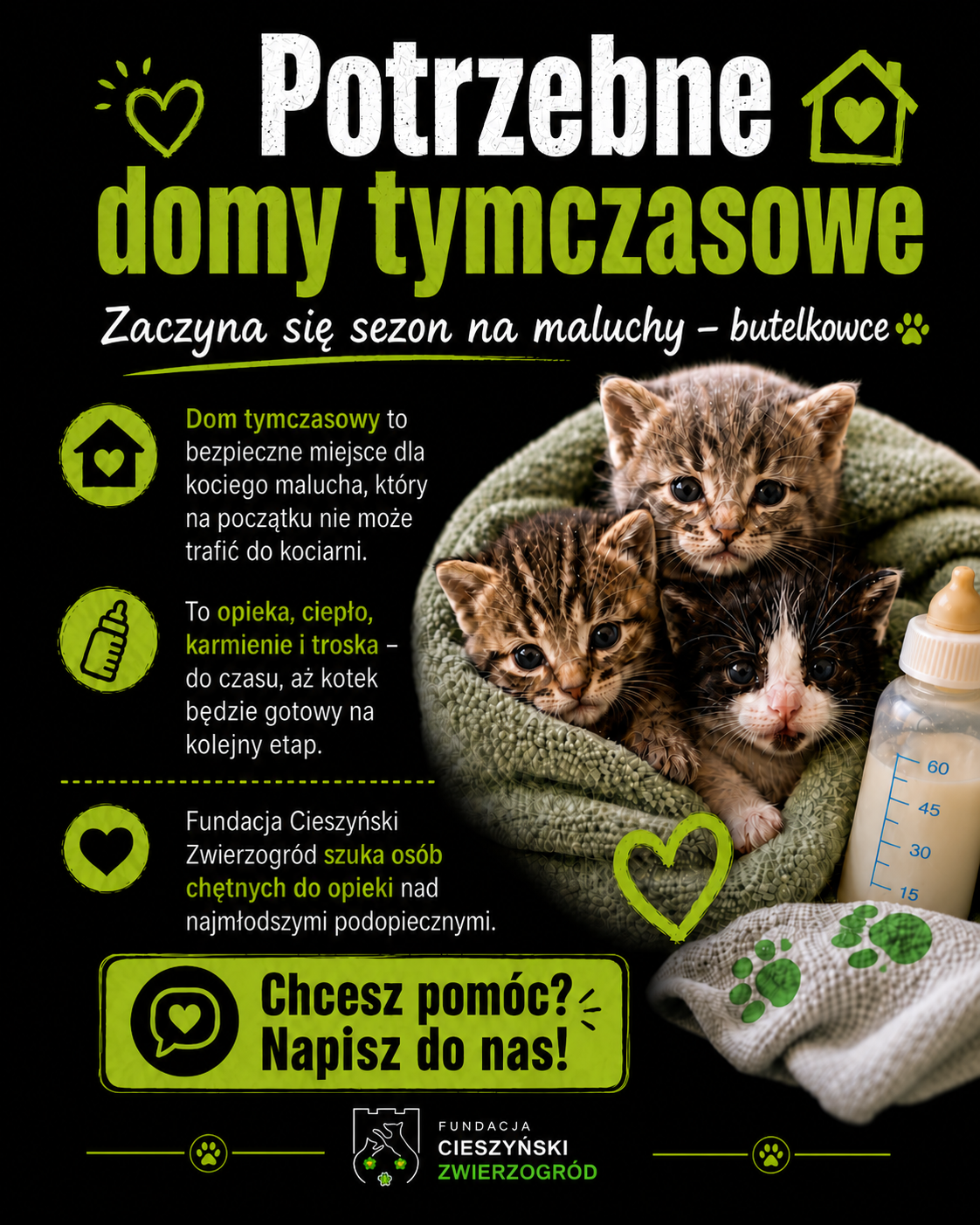 Zostań domem tymczasowym