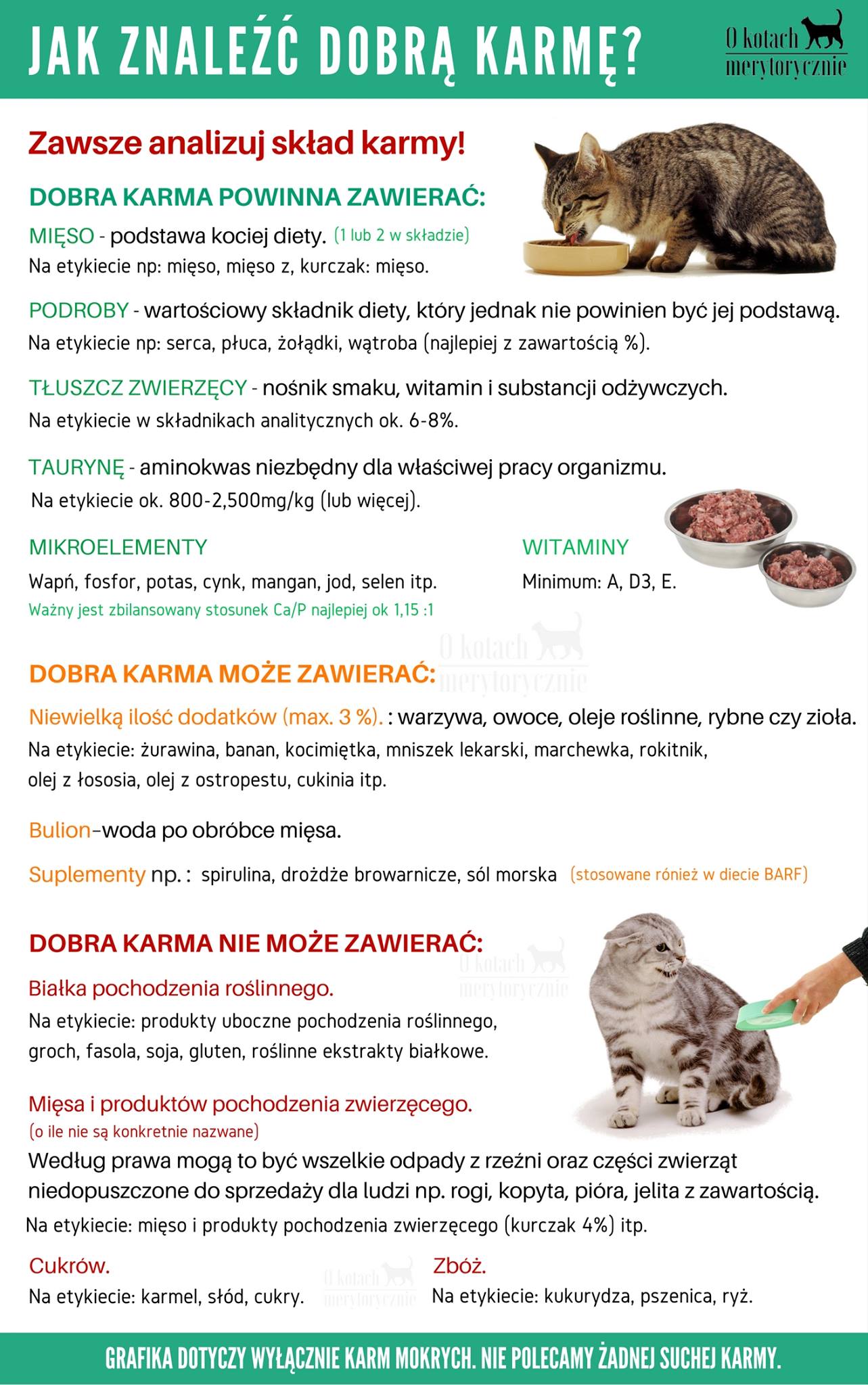 KOCIE PORADY Temat: Żywienie kota część 1